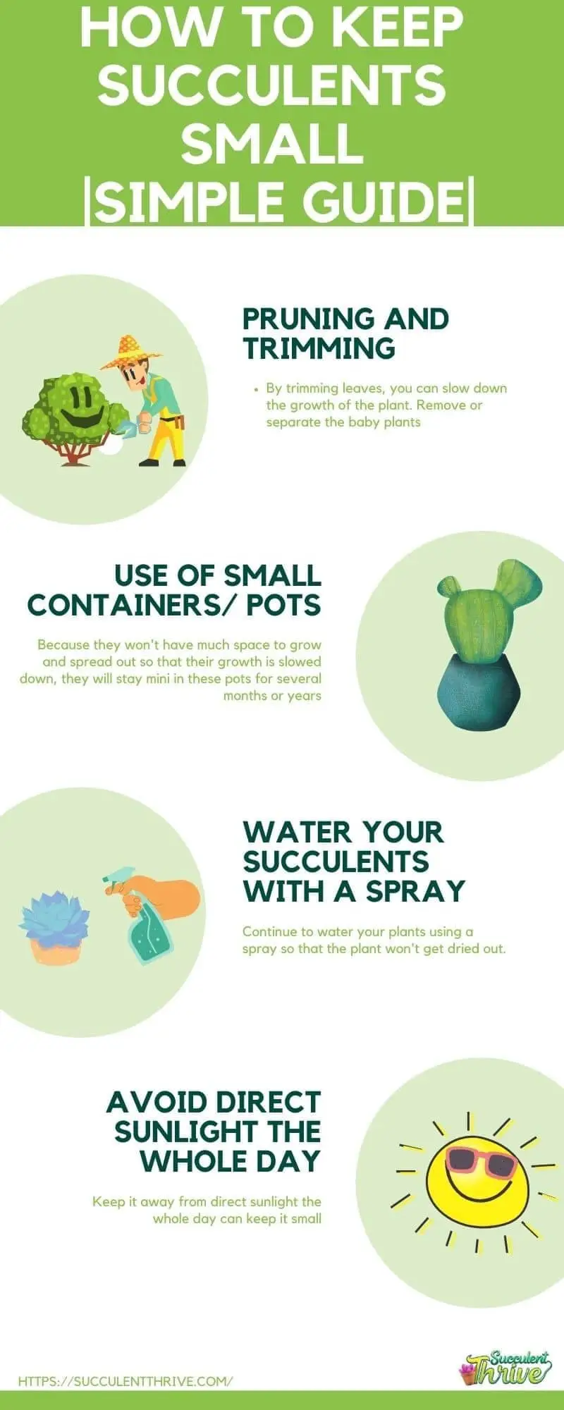 _How to Keep Succulents Small and manageable_ Simple Guide infographic