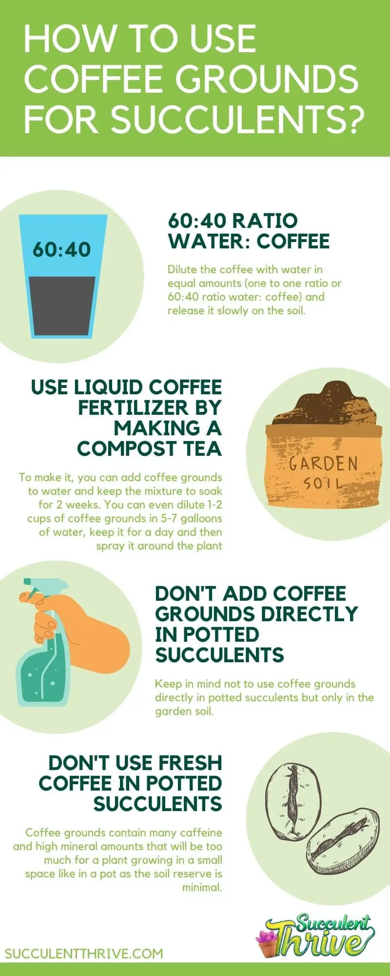 How to Use Coffee Grounds for Succulents Infographic
