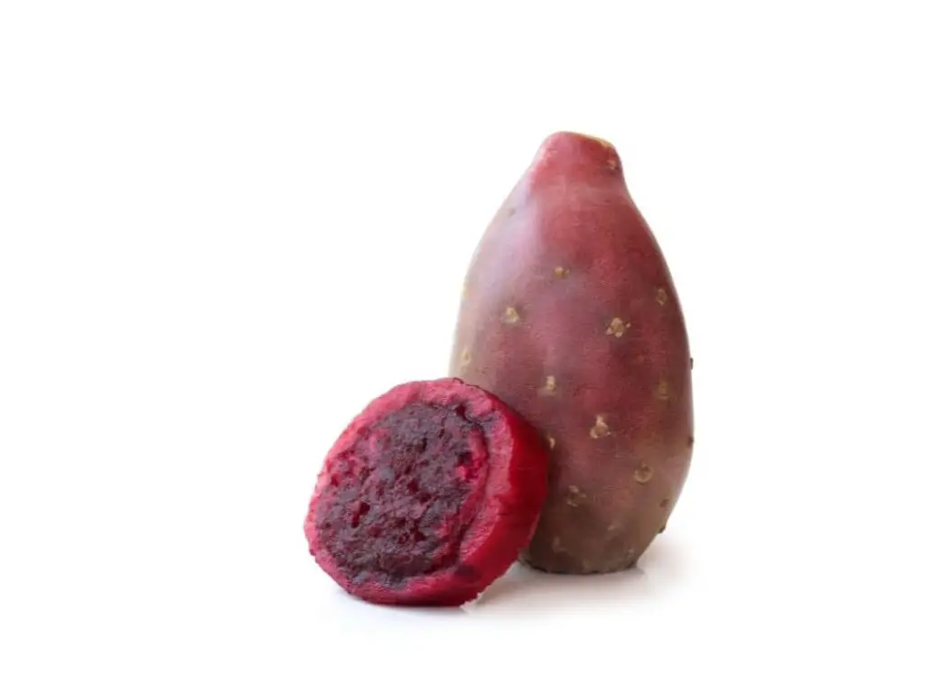 Purple Prickly Pear Fruit