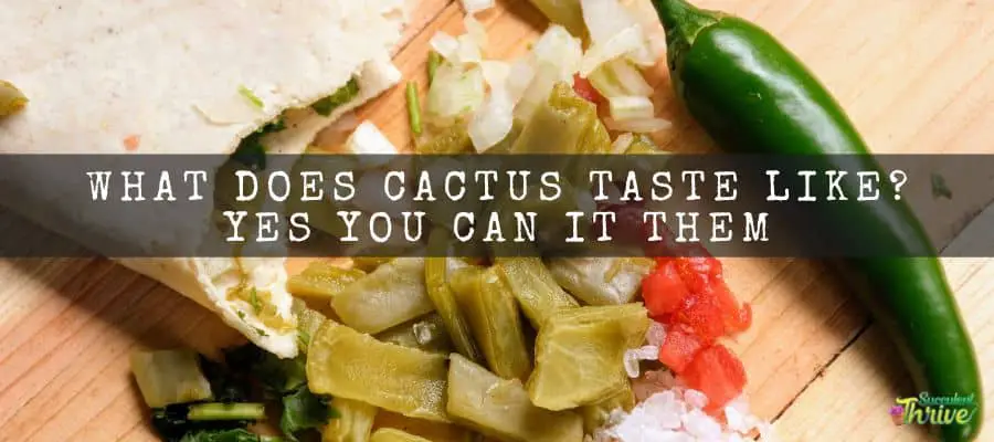 What Does Cactus Taste Like